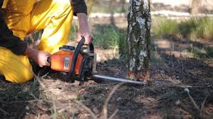 Lawn Watering Services in Midwest City, OK